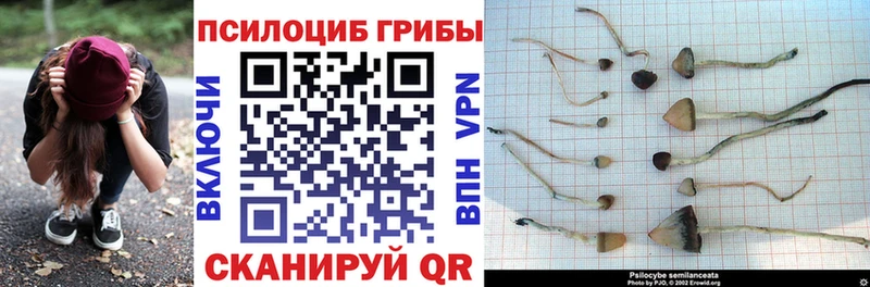 Галлюциногенные грибы мухоморы  omg как войти  Батайск  darknet формула  купить  